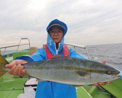 久里浜黒川本家 釣果