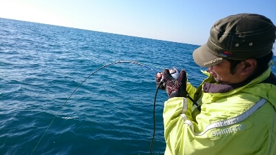 IDATEN(イダテン) 釣果