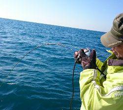 IDATEN（イダテン） 釣果