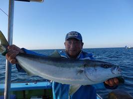 久里浜黒川本家 釣果