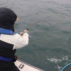 スカイマリン 釣果