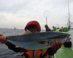 久里浜黒川本家 釣果