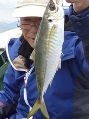 松福丸 釣果