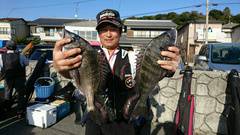 まこと渡船 釣果