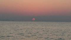 まこと渡船 釣果