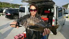 まこと渡船 釣果