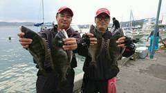 まこと渡船 釣果