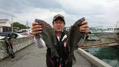 まこと渡船 釣果