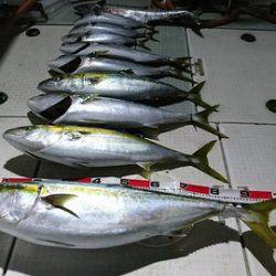 スカイマリン 釣果