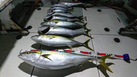 スカイマリン 釣果