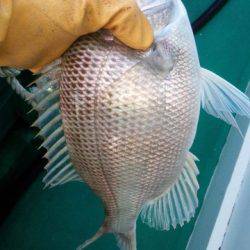 第３浜丸 釣果
