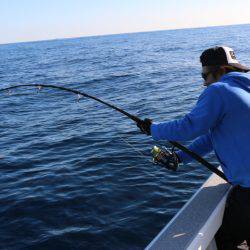 へいみつ丸 釣果