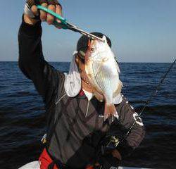 開進丸 釣果