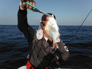 開進丸 釣果
