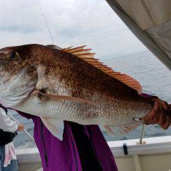 遊漁船　ニライカナイ 釣果