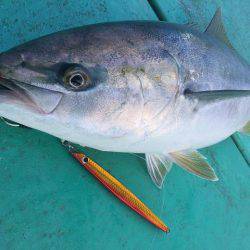 広進丸 釣果