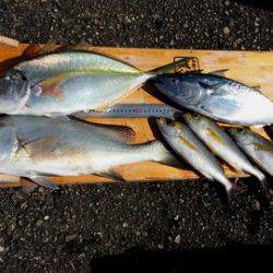 第3浜丸 釣果