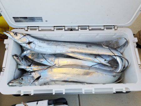 遊漁船　ニライカナイ 釣果