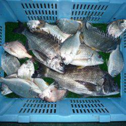 海山フィッシングセンター 釣果