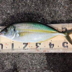 第3浜丸 釣果