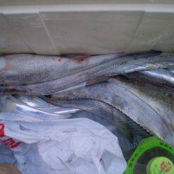 弘福丸 釣果