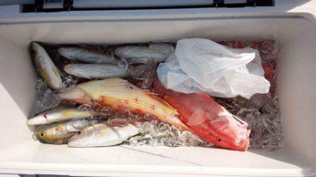 第３浜丸 釣果