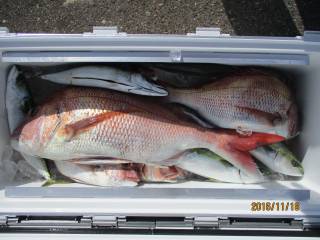 なかくに丸 釣果