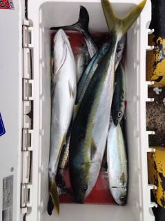 なかくに丸 釣果