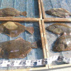 大進丸（愛知） 釣果