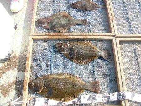 大進丸（愛知） 釣果