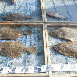 大進丸（愛知） 釣果