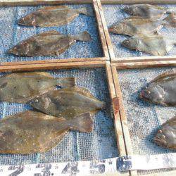 大進丸（愛知） 釣果