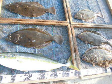 大進丸（愛知） 釣果