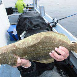 大進丸（愛知） 釣果