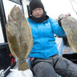 大進丸（愛知） 釣果