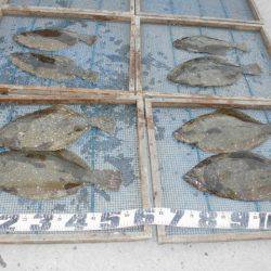 大進丸（愛知） 釣果