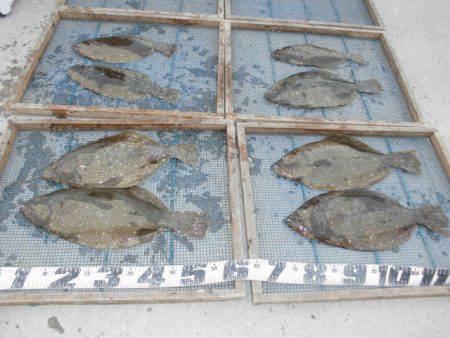 大進丸（愛知） 釣果