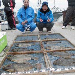 大進丸（愛知） 釣果