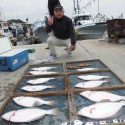 大進丸（愛知） 釣果