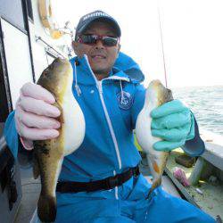 大進丸（愛知） 釣果