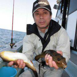 大進丸（愛知） 釣果