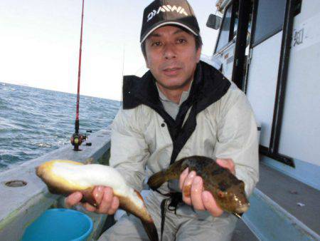 大進丸（愛知） 釣果