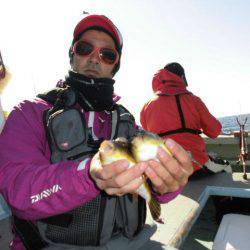 大進丸（愛知） 釣果