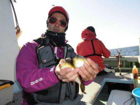 大進丸（愛知） 釣果