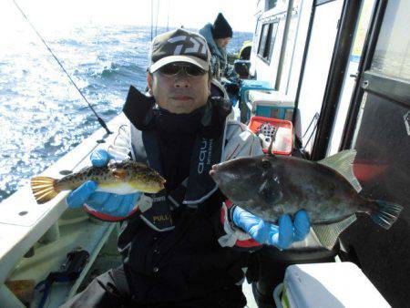 大進丸（愛知） 釣果