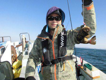 大進丸（愛知） 釣果