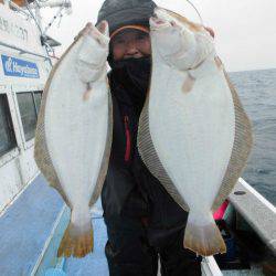 大進丸（愛知） 釣果