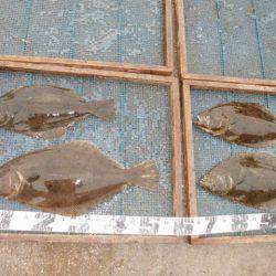 大進丸（愛知） 釣果