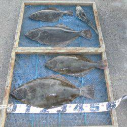 大進丸（愛知） 釣果