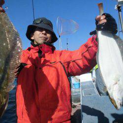 大進丸（愛知） 釣果